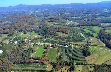 Saint Paul Mountain Vineyards