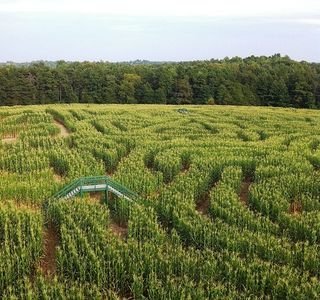 Kersey Valley Maize Adventure
