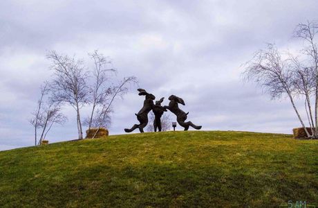 Ballantrae Community Park