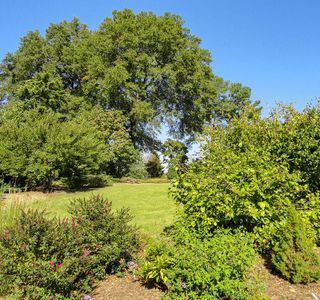 JC Raulston Arboretum at NC State University