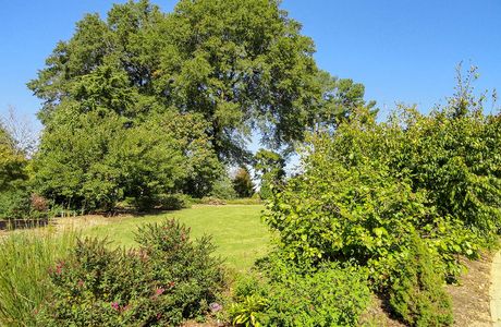 JC Raulston Arboretum at NC State University