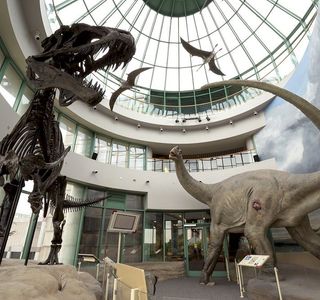 North Carolina Museum of Natural Sciences