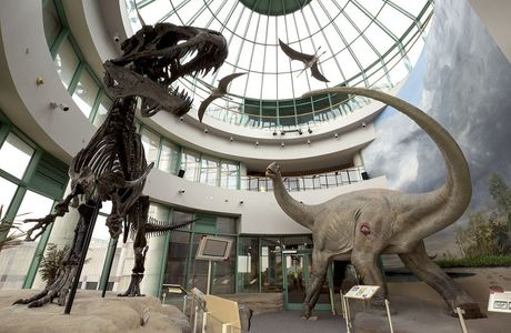 North Carolina Museum of Natural Sciences