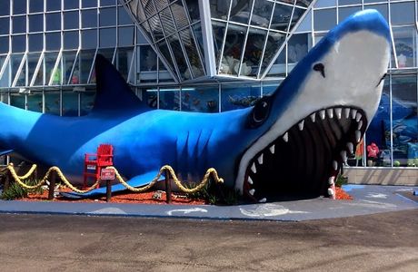 Jaws