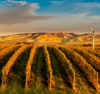 Spring Valley Vineyard Tasting Room