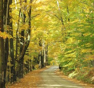 Lincoln Gap Road