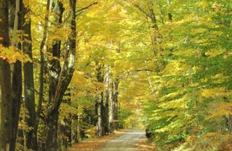 Lincoln Gap Road