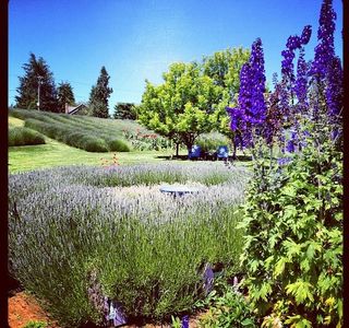 Jardin du Soleil