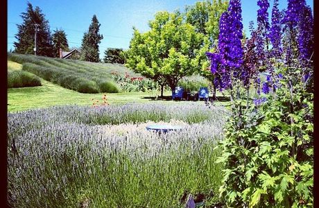 Jardin du Soleil
