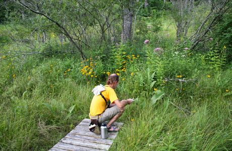 Gallagher Fen State Nature Preserve