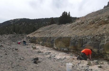 Richardson's Rock Ranch
