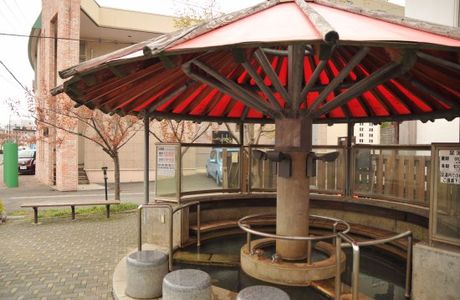 Ashiyu Pocket Park, Yakushi no Yu