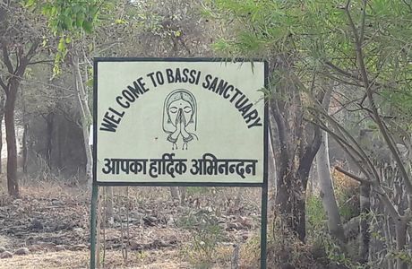 Bassi Wildlife Sanctuary