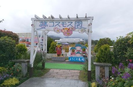 Kyoto Tamba, Kameoka Yumecosmos Garden