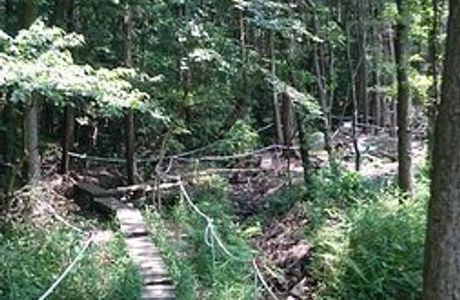 Imo Swamp