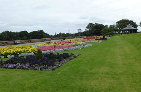 Lady Green Garden Centre