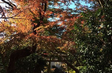 Shotengu Saikoji Temple