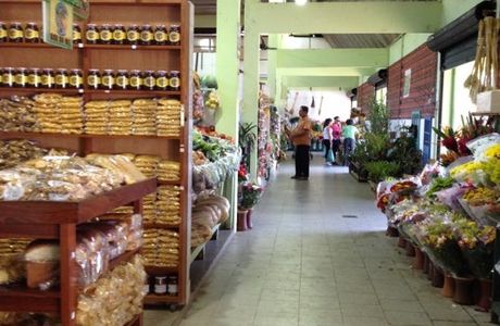 HortoMercado