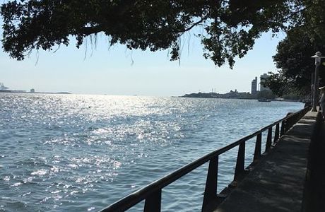 Danshui Rongshu Dao