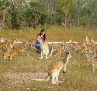 Nina's Ark Wildlife Sanctuary