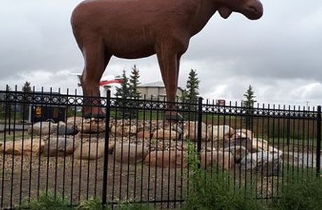 Mac the Moose Monument