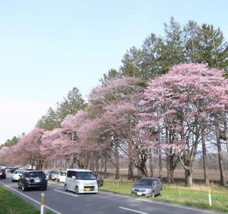 Mauta Park
