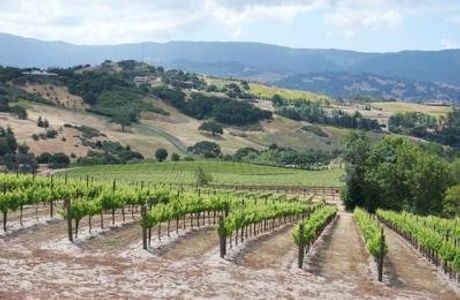 Santa Barbara Wine Region