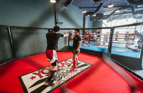 Bangkok Fight Lab