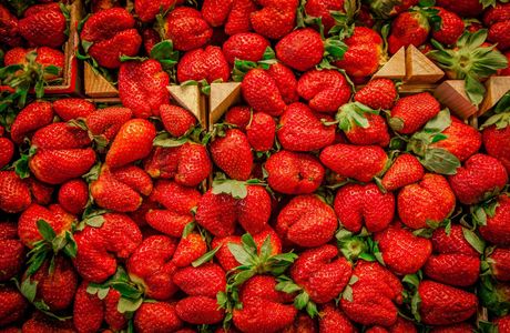 Frances Strawberries