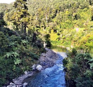 Kaitoke Regional Park