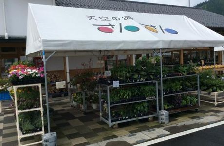 Michi no Eki Tenku no Go Sansan