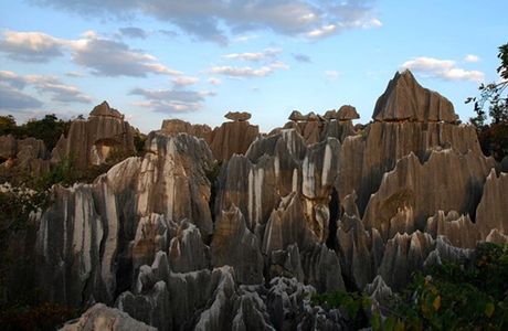 Longma Stone Forest