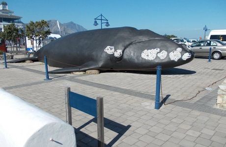 The Whale House Museum