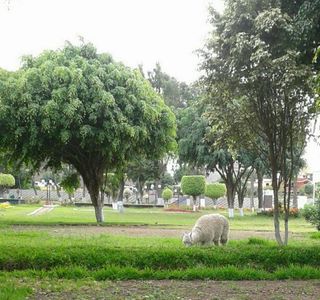Parque Reducto No. 2