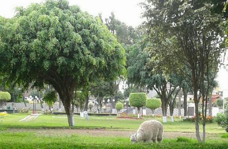 Parque Reducto No. 2
