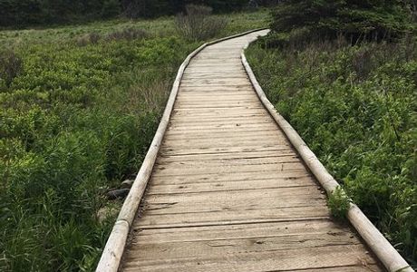 Ceilidh Trail
