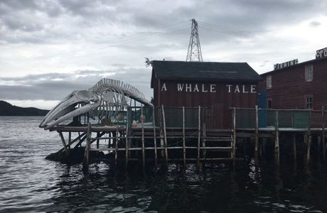 Prime Berth Fishing Museum
