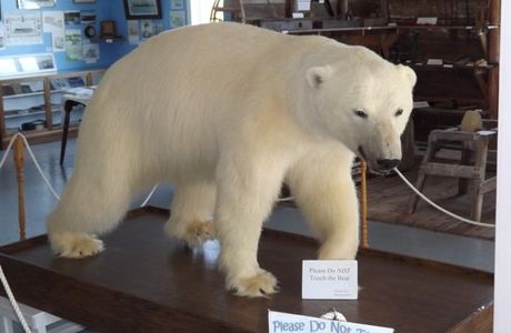Durrell Museum