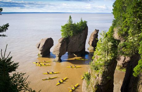 Hopewell Rocks