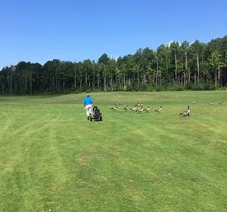 Mountain Woods Golf Club