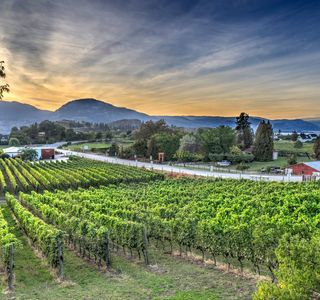 Four Shadows Vineyard and Winery