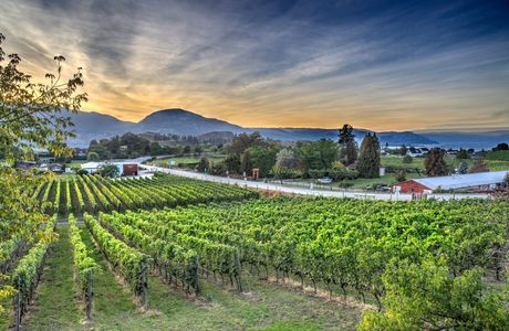 Four Shadows Vineyard and Winery