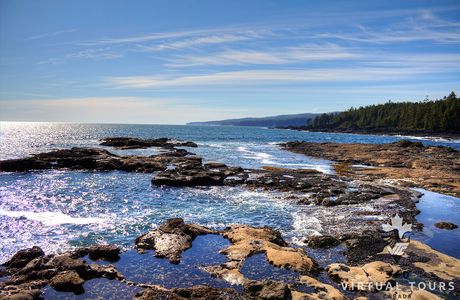 Botanical Beach Provincial Park