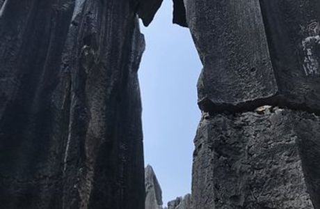 Mt. Zhongling Forest Park