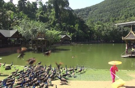 Xishuangbanna Primitive Forest Park