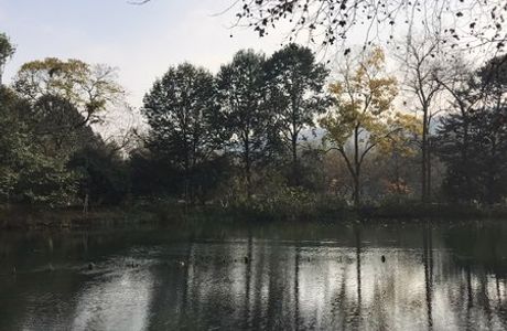 Yanggong Dike