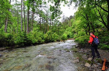 Dulong River Valley