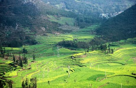Luosi Field, Luoping