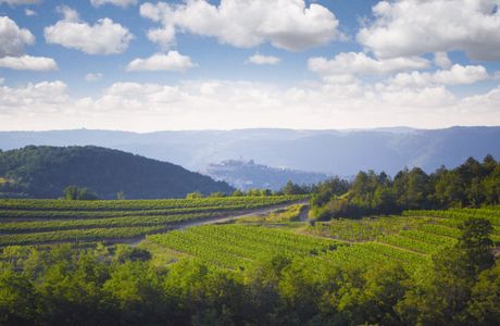 Benvenuti Winery