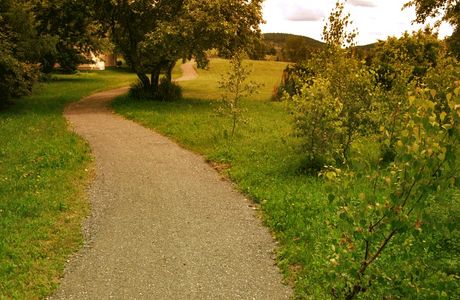 Réseau du mont Berthier